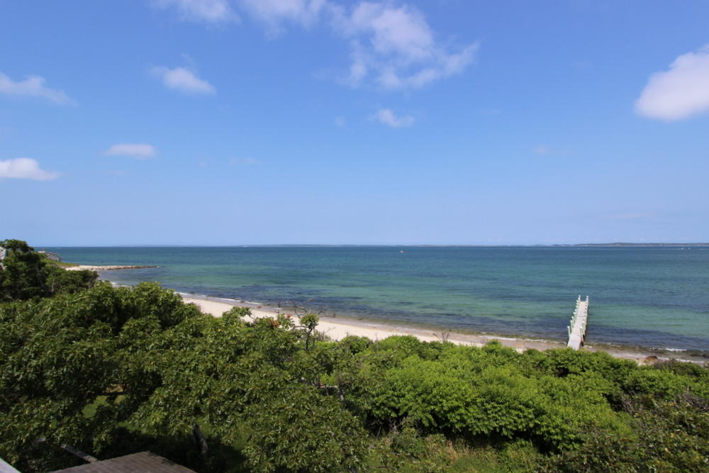 Cape Cod Home 995391
