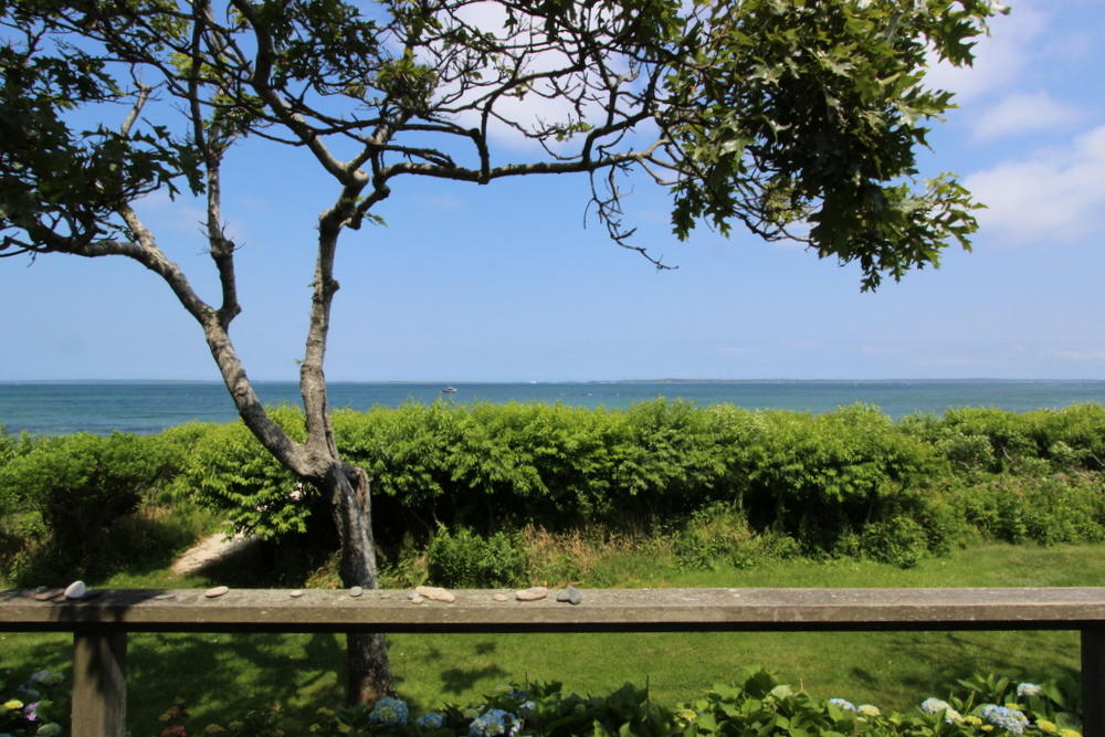 Cape Cod Home 995391