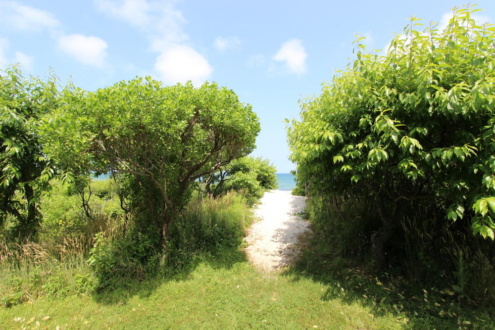 Cape Cod Home 995391