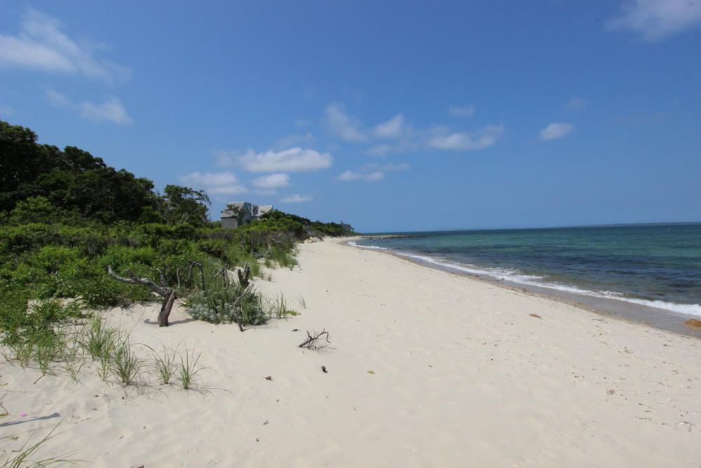 Cape Cod Home 995391