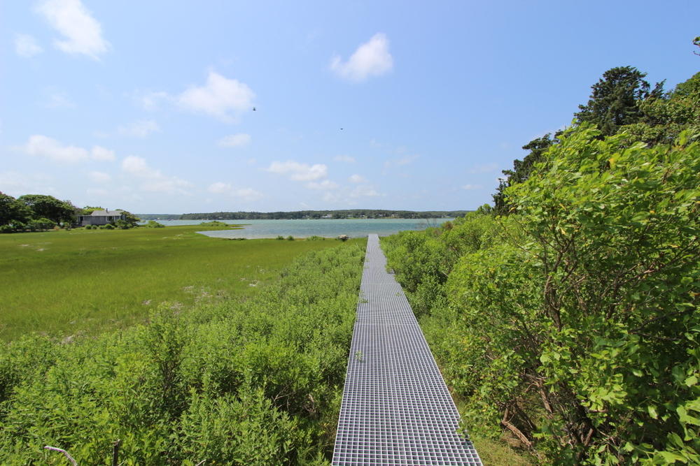 Cape Cod Home 995391