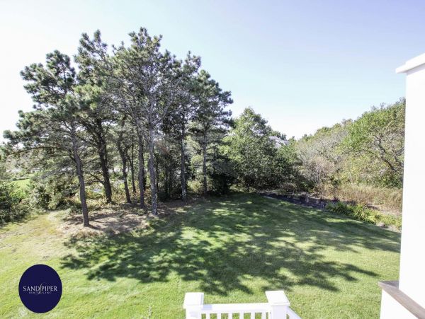 Cape Cod Home 995395