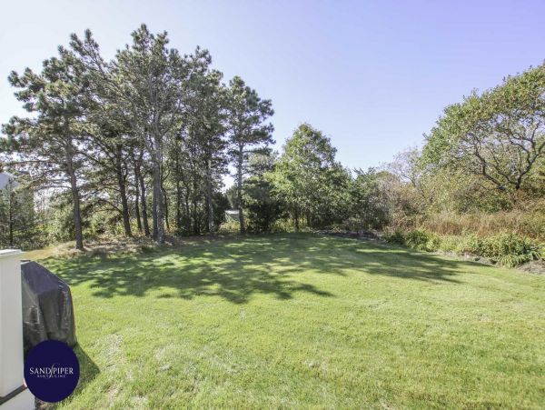 Cape Cod Home 995395