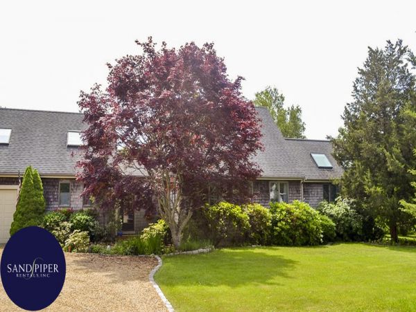 Cape Cod Home 995406