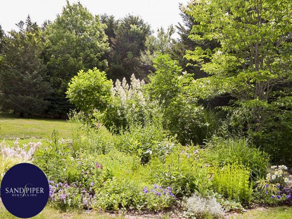 Cape Cod Home 995406