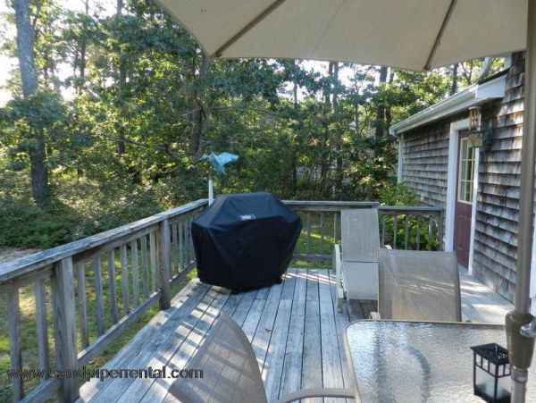 Cape Cod Home 995413