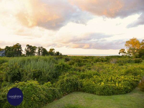 Cape Cod Home 995415