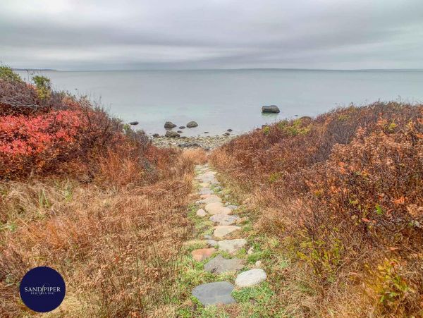 Cape Cod Home 995417