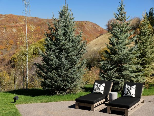 Aspen Home 995466