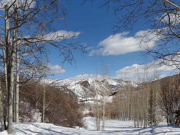 Aspen Home 995469
