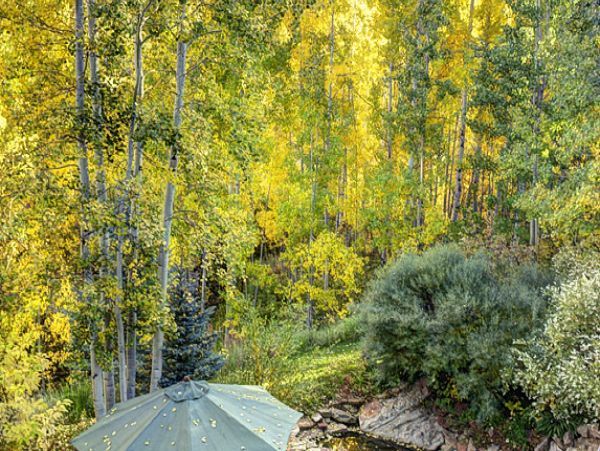 Aspen Home 995469