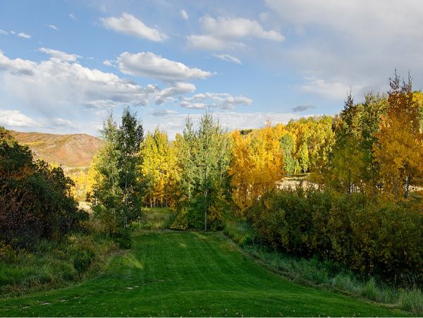 Aspen Home 995469