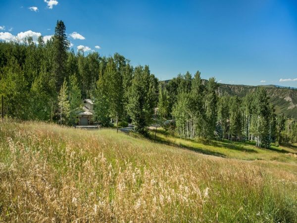 Aspen Home 995471