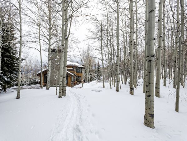 Aspen Home 995480