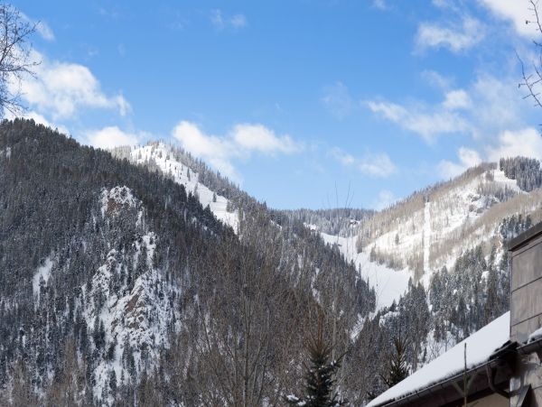 Aspen Home 995493
