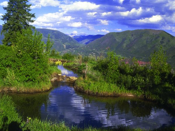Aspen Home 995499