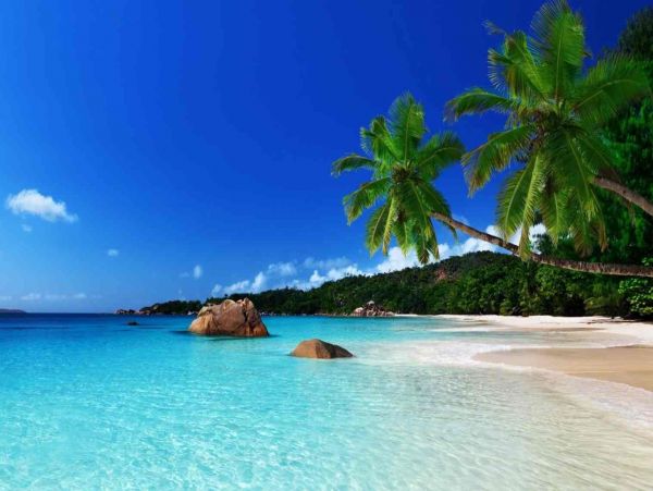 Beautiful Jamaica Vacation Home with Private Pool Sleeps 20