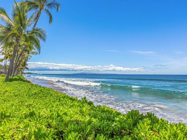 Luxury Oceanfront Vacation Home Two Bedroom In Lahaina