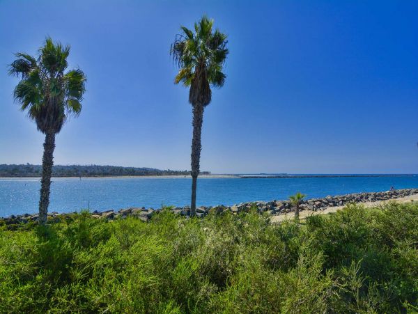 Mission Beach And Pacific Beach Condo 995515