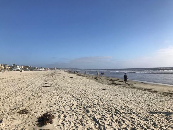 Mission Beach And Pacific Beach Condo 995548