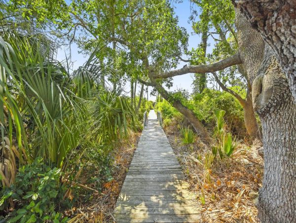 Hilton Head 7-Bedroom Beachfront Haven with a Pool Sleeps 20