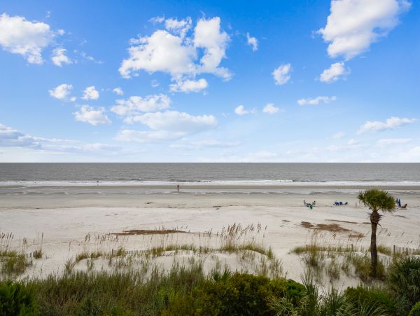 Luxury Oceanfront Vacation Home In Hilton Head 18 Guests
