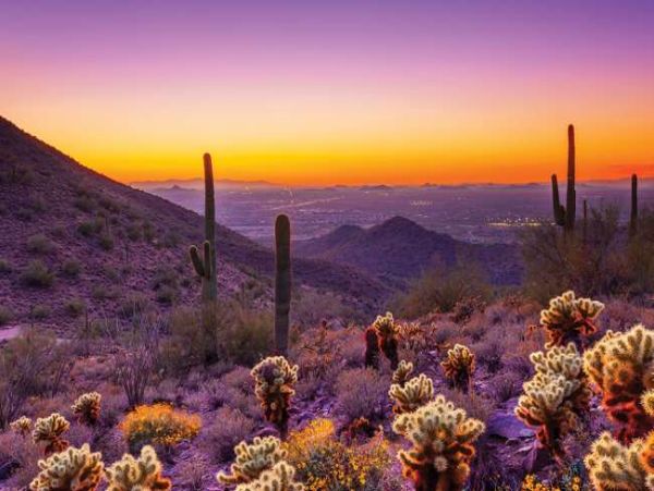 Scottsdale Vacation Rental Sleeps 22 Guests Pool Home