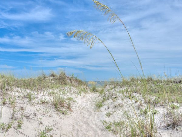 Alabama Beach Areas Home 995714