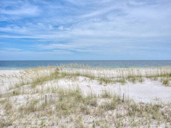 Alabama Beach Areas Home 995714