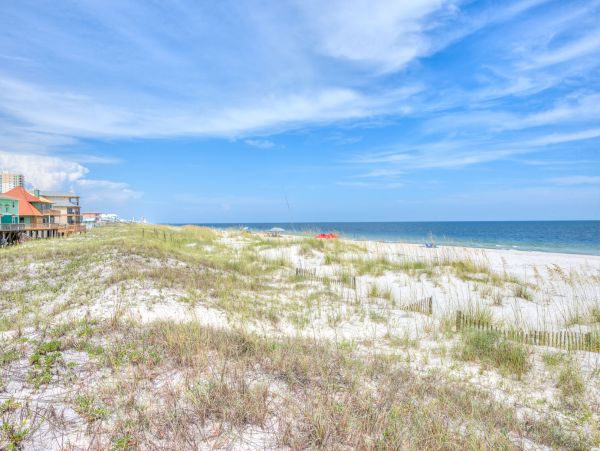 Alabama Beach Areas Home 995714
