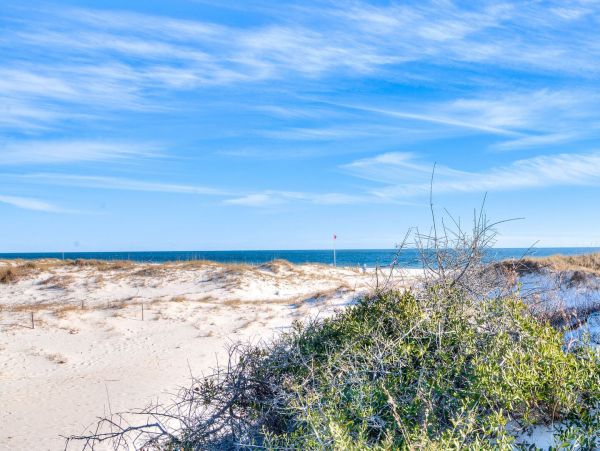 Alabama Beach Areas Home 995715