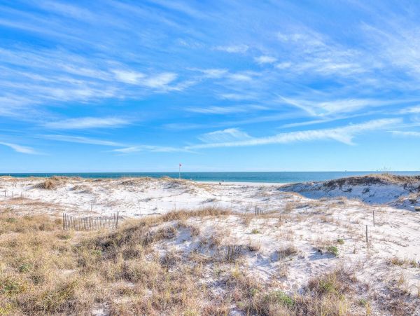 Alabama Beach Areas Home 995715