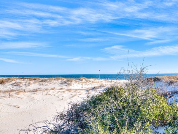 Beachfront Duplex Sleeps 22- 44 Guests Real Beach House