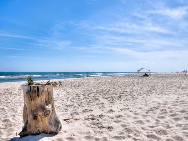 Alabama Beach Areas Home 995723