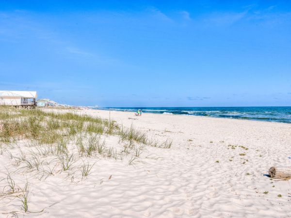 Alabama Beach Areas Home 995723