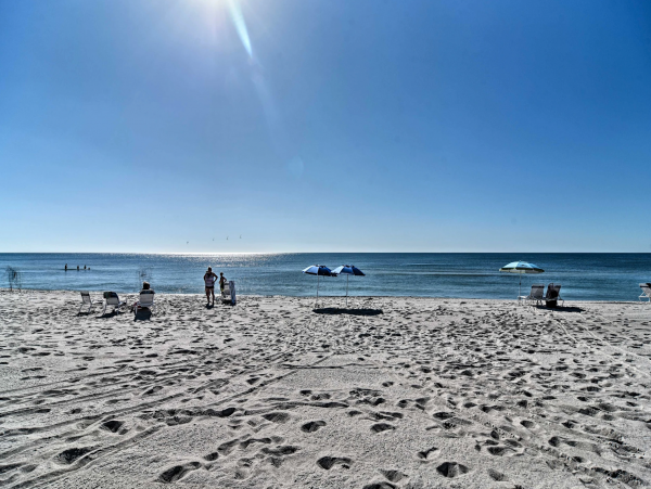 Lovely One Bedroom Longboat Key Condo Direct Beach Access