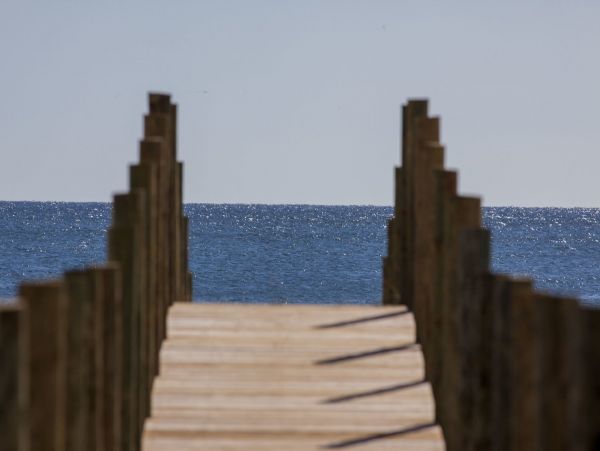 On Beach Gulf Shores Vacation Home Sleeps 56 Guests