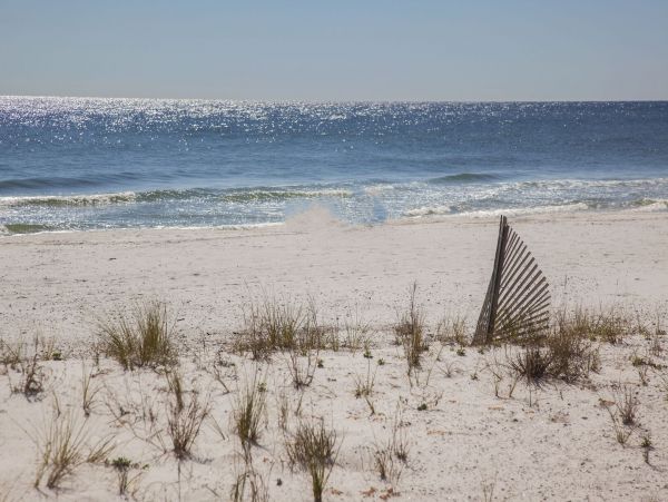 On Beach Gulf Shores Vacation Home Sleeps 56 Guests