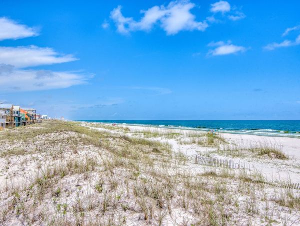 Alabama Beach Areas Home 995736
