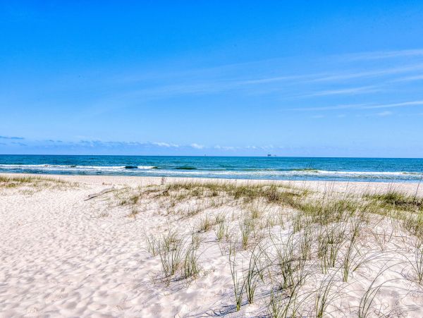 Alabama Beach Areas Home 995742