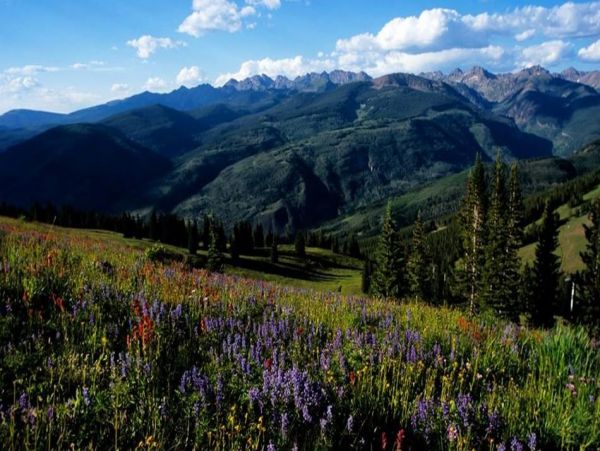 Elegant Vail Vacation Home Eight Guests Mountain Views
