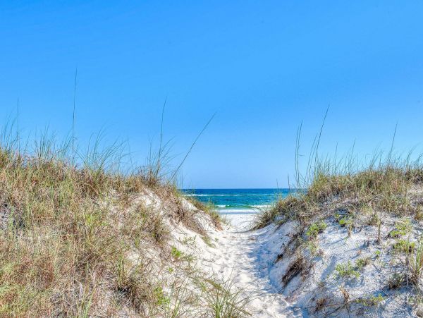 Alabama Beach Areas Home 995745