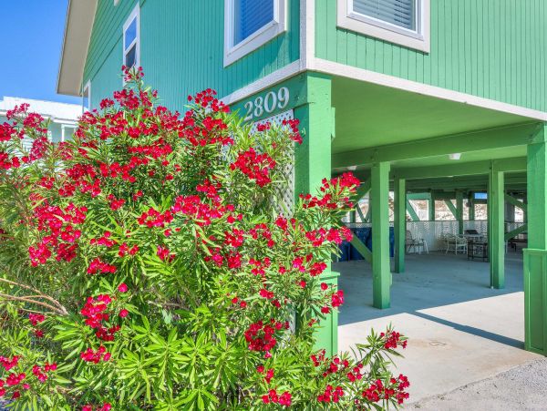 Alabama Beach Areas Home 995745