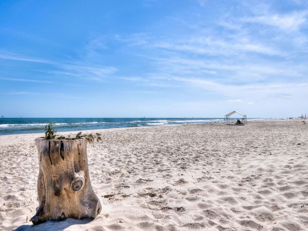 Alabama Beach Areas Home 995746