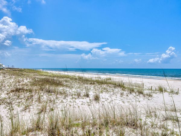 Alabama Beach Areas Home 995747