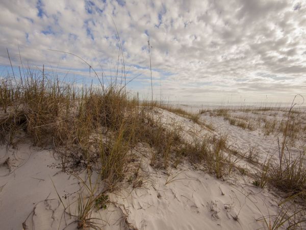 Alabama Beach Areas Home 995751