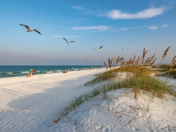 Fort Morgan Beachfront Vacation Rental - Gulf Shores Pet Friendly Beach House