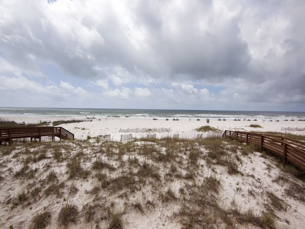 The Largest home in the Entire Beach area.