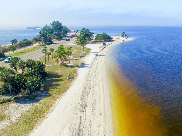 Fort Myers Beachfront One Bedroom Rental Condo