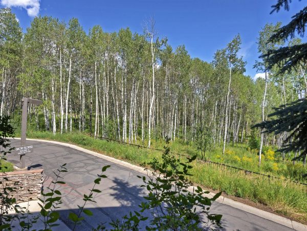 Park City Deer Valley Canyons Resort Condo 996354